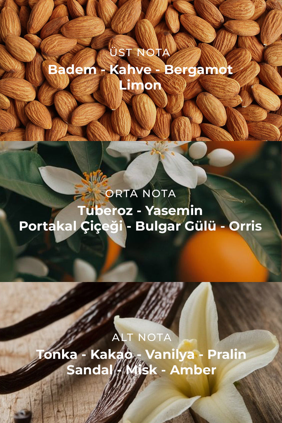 Nulu Fruity Almond Kadın Parfüm 100ml — Yeşil