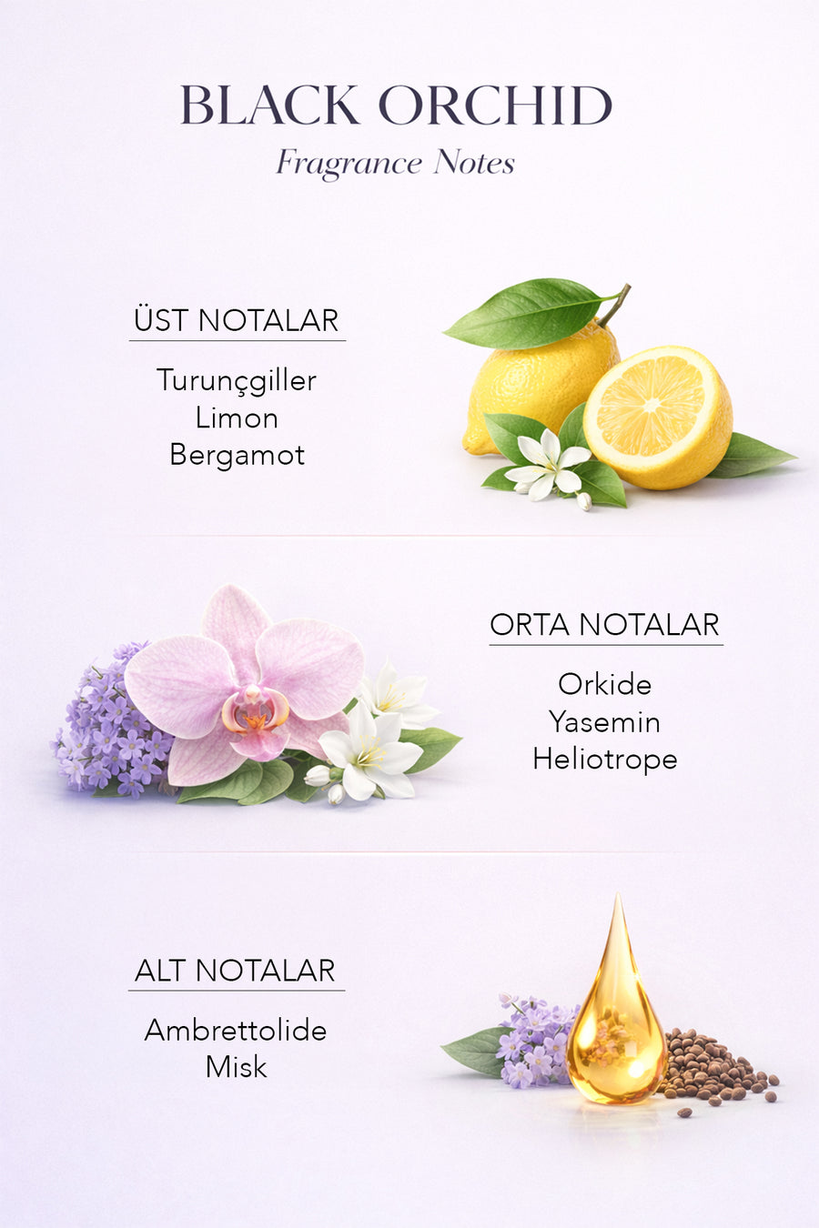 Black Orchid Çubuklu Oda Kokusu 100 ml — Mor