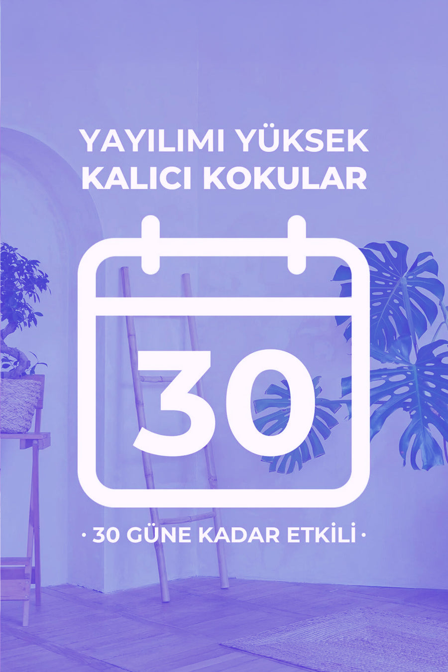 Black Orchid Çubuklu Oda Kokusu 100 ml — Mor
